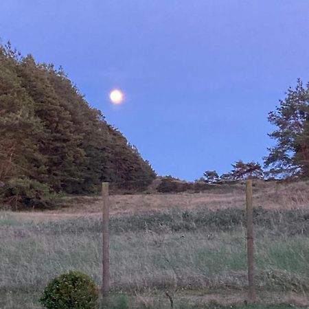 Ateljen Villa Borrby Eksteriør bilde